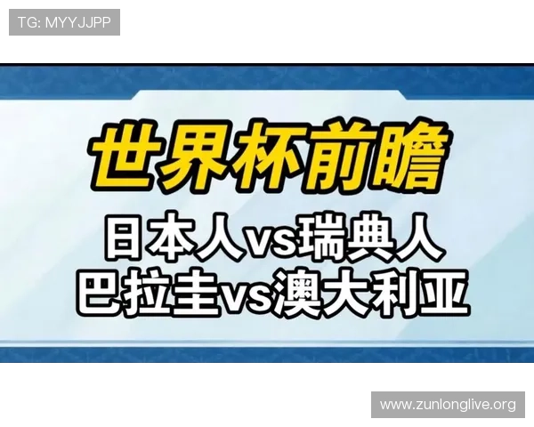 世界杯日本瑞典现场观赛全攻略：购票、交通、座位选择与现场氛围全解析